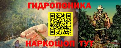стаф Малгобек